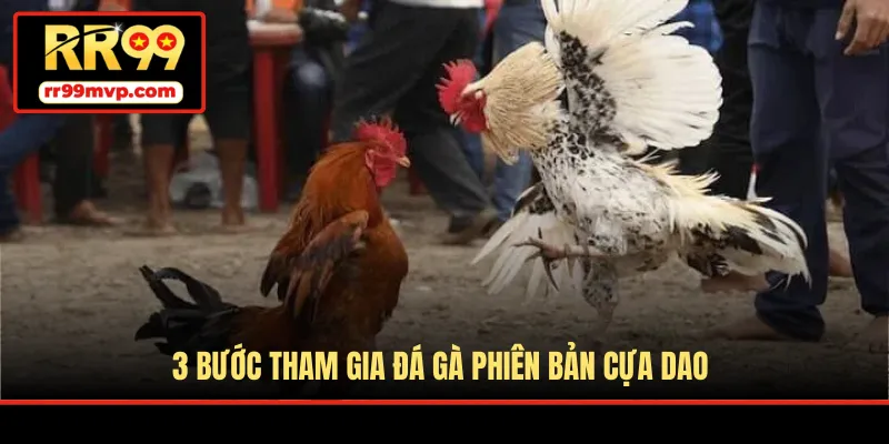 3 bước tham gia đá gà phiên bản cựa dao